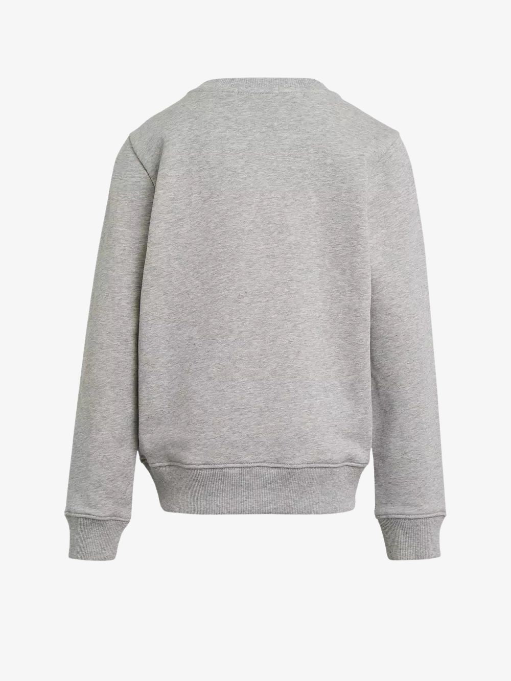 #Color_Gris
