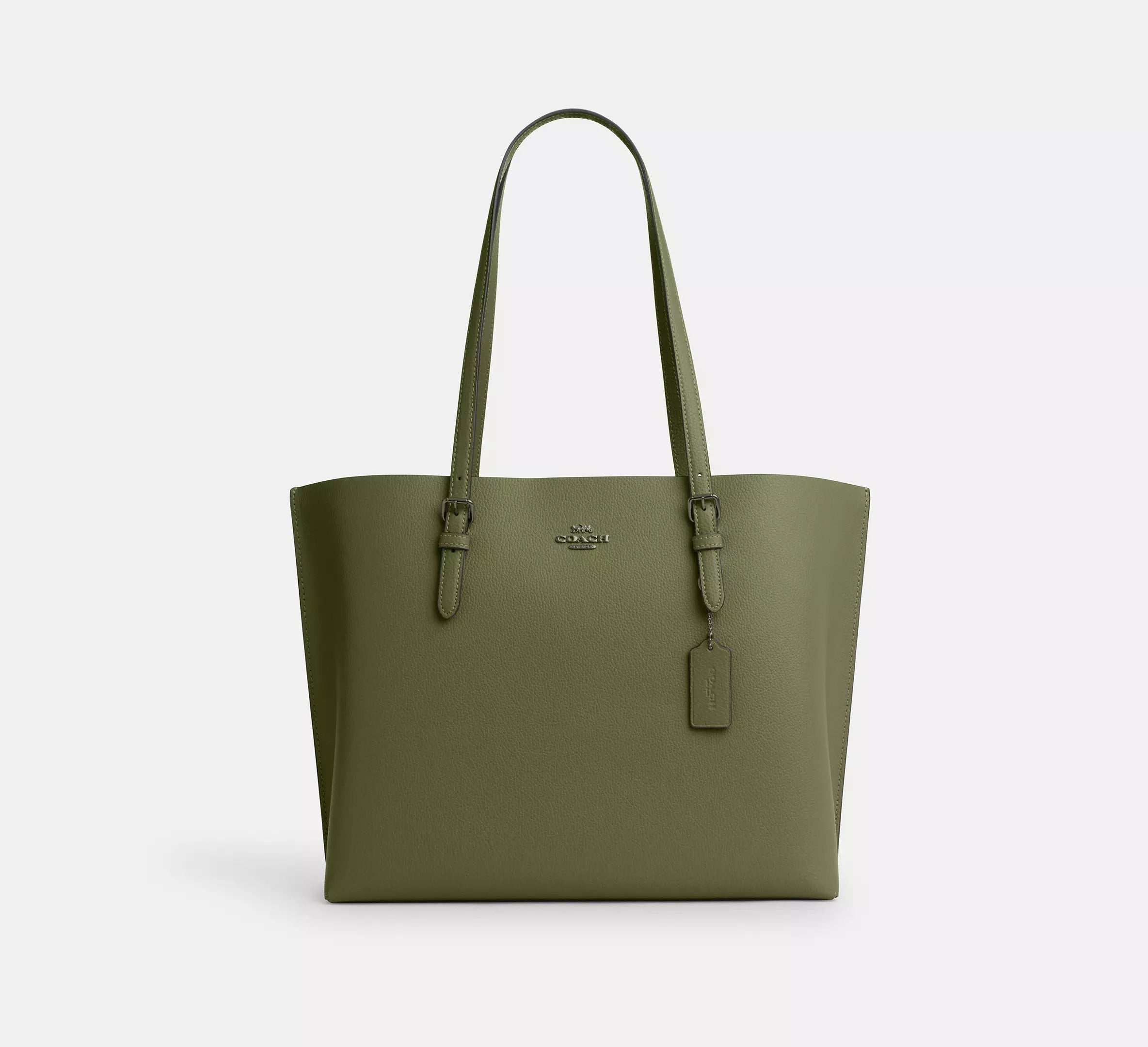 Coach Mollie Tote