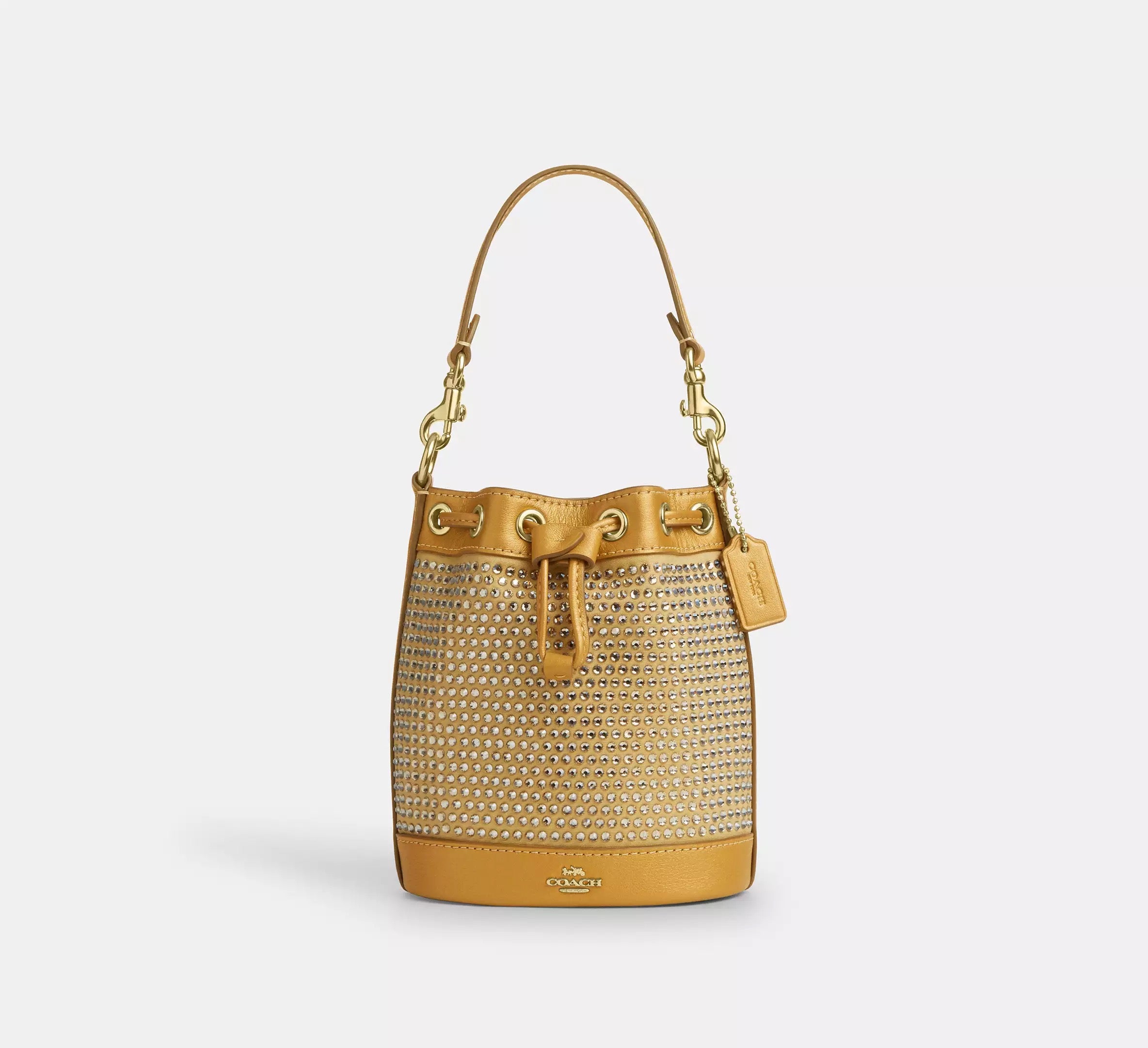 Coach Mini Bucket