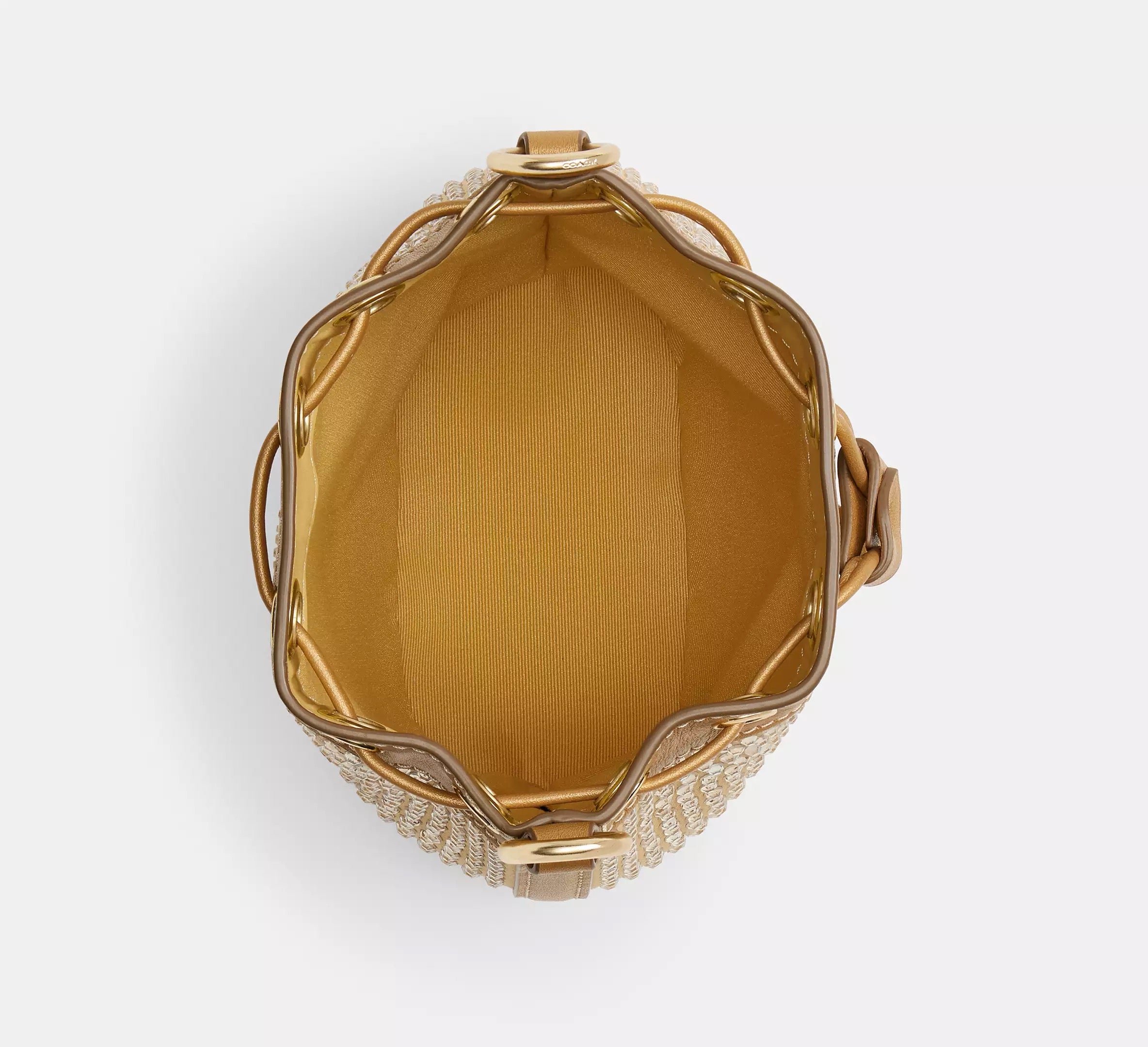 Coach Mini Bucket