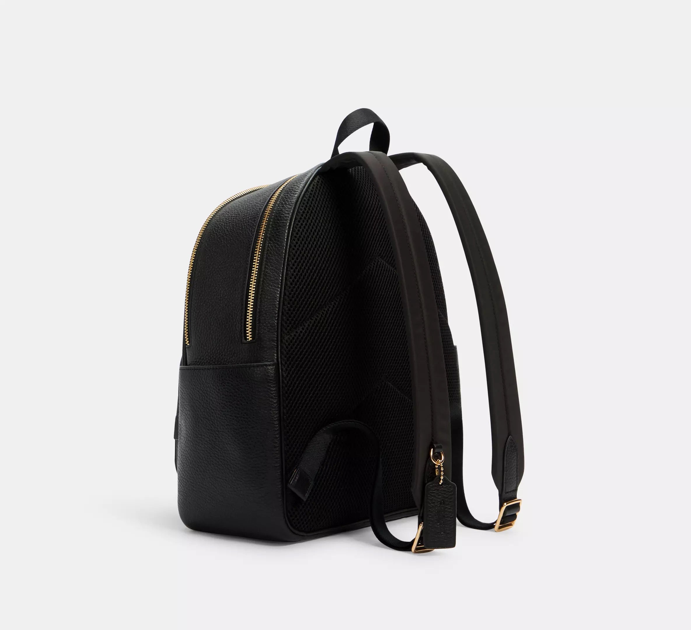 Coach Backpack Court