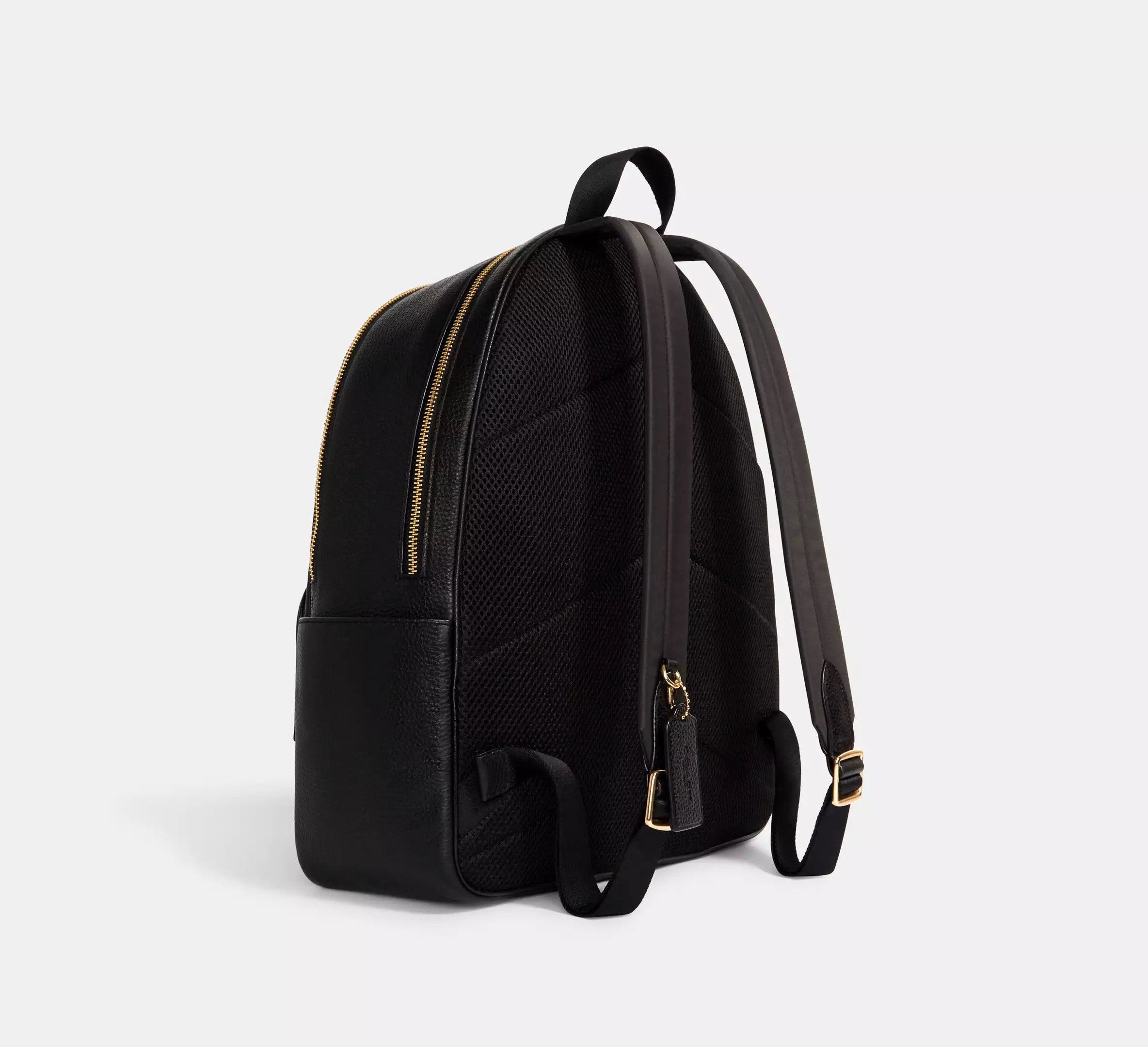 Coach Backpack Court grande